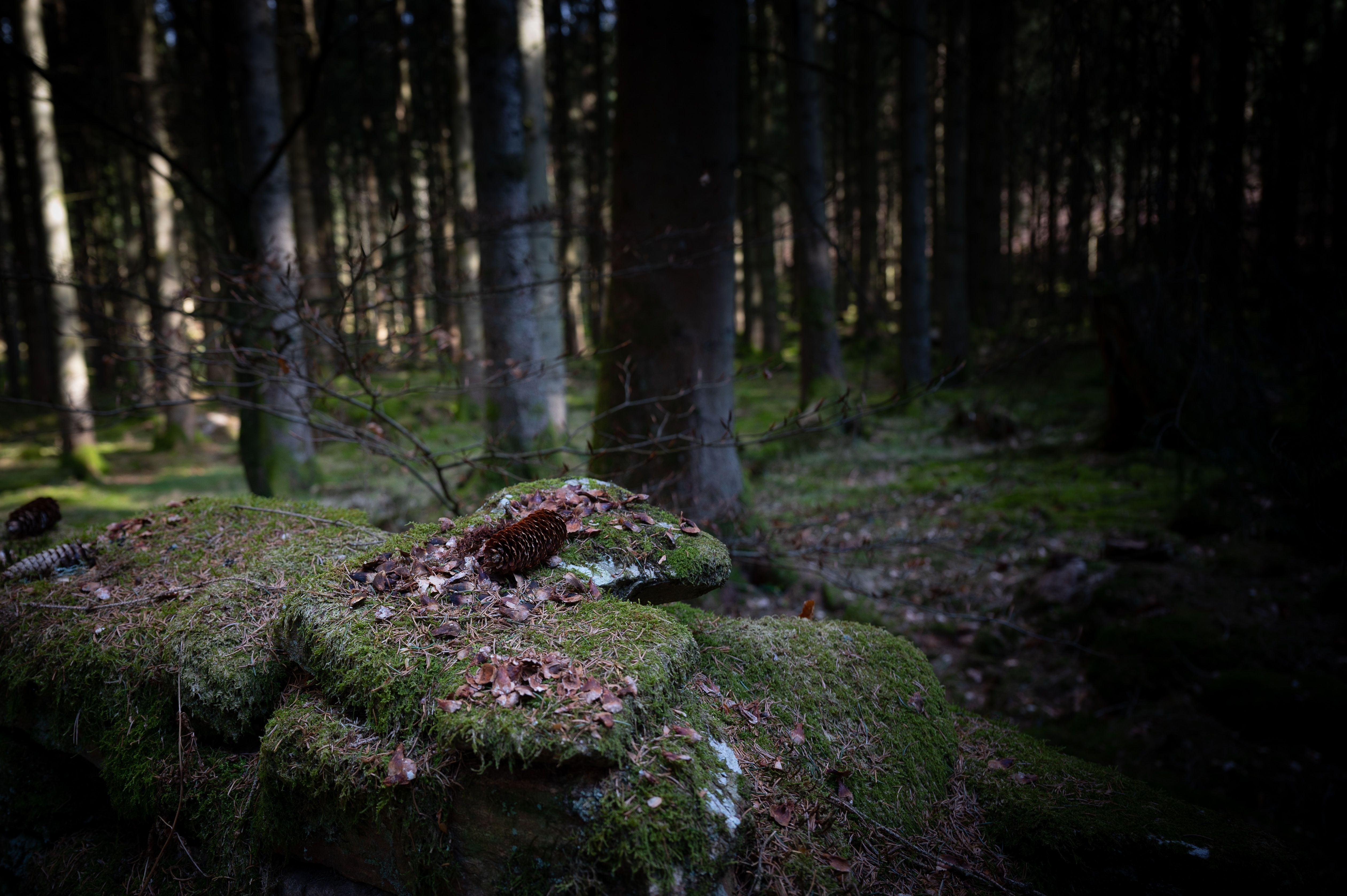unsplash_HJKLqGcBD10